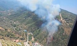 Narlıdere'deki orman yangınına havadan ve karadan müdahale