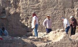 Oylum Höyük'te 38. kazı sezonu başladı