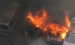 Park halindeki otomobiller alev topuna döndü