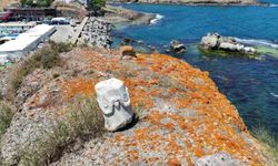 Sarıyer'de 2 bin yıllık Pompei Sütunu bakımsızlığa terk edildi