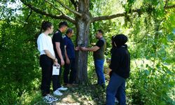 Şehir merkezine yakın köylere kadar inen ayı için Milli Parklar fotokapan kurdu