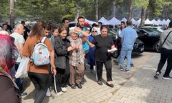 Şenlikte ağaçtan düşen dal yaşlı kadını yaraladı