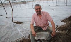 Seralarda yeni sezon üretim için solarizasyon dönemi başladı