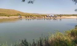 Sivas'ta serinlemek için Kızılırmak'a giren 2 kişiden 1'i kayboldu