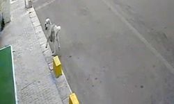 Tekirdağ'da mahallenin maskotu Yumak'a araba çarptı