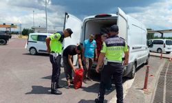 Yalova'da 3 ton kaçak midye ele geçirildi