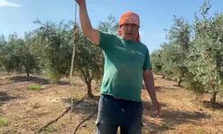 'Yılanı öldürdüm' deyip çektirdiği video pahalıya mal oldu: 22 bin TL ceza yedi