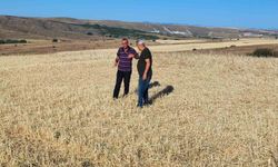 Yozgat'ta bu tarlaları biçerdöver değil dolu biçti
