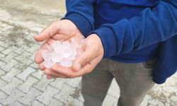 Yozgat'ta dolu tarım alanlarını vurdu, köylüler afet bölgesi ilanı istedi
