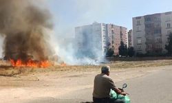 Nusaybin-Mardin yolu yakınında anız yangını paniği