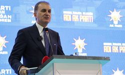 Çelik: "Cumhurbaşkanımızın siyasi konumunu Franco diktatörlüğü ile benzeştirmek akıl ve izan yoksunluğudur"