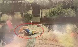 Samsun’da pitbull dehşeti: Küçük kızı yere savurdu, köpeğini ise ağır yaraladı