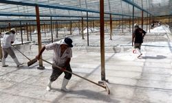 Güneşle Kristalleşen Tarih: Kemah’ın 3 Bin Yıllık Tuz Geleneği