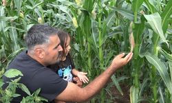 20 yıl sonra Rusya'dan memleketine döndü, ata tohumunu yeniden yaşattı