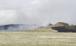 Ahlat-Tatvan yolunda otluk alanda yangın paniği