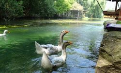 Akyaka'yı aratmayan Bucak Vadisi doğaseverlerin gözdesi