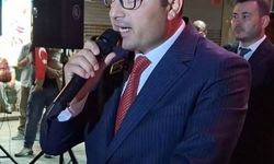 Alaplı Kaymakamı Köksal: 'Olayın Türk-Kürt kavgasıyla alakası yok'