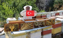 Amasya'da arıların seçimi sonuçlandı