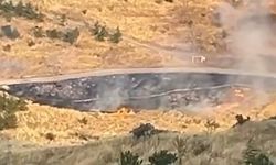 Ankara'da ağaçlık alanda meydana gelen yangının başlama anı kamerada