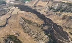 Ankara'da tarım arazisinde çıkan yangın ormana sıçramadan söndürüldü