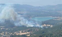 Ayvacık'ta otluk alanda çıkan yangına müdahale sürüyor