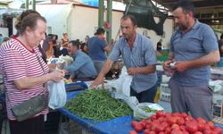 Balıkesir Burhaniye de organik ürünler pazarı kuruldu