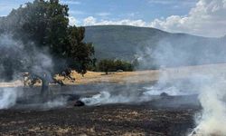Bolu'da balya makinesinden çıkan kıvılcımlar yangına neden oldu