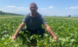 Bu köyde çiftçi sadece tarlasını hazırlıyor, gerisini kooperatif yapıyor