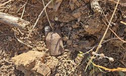 Bursa'da kurtuluş savaşından kalma el bombaları bulundu