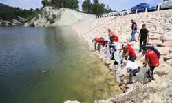 Denizli'de iç sulara can suyu: İl genelinde 1 milyon 386 bin balık bırakıldı