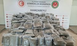 Edirne-Hamzabeyli Gümrük Kapısı'nda yaklaşık 288 kilogram esrar cinsi uyuşturucu madde ele geçirildi