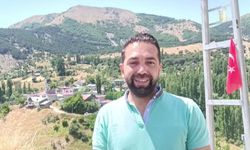 Far ışığını gören dev tavşan kaçtı