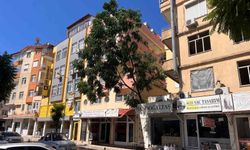 Fırtınanın devirdiği ağaç nedeniyle yol trafiğe kapatıldı