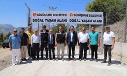 Gümüşhane'de sokak hayvanları için doğal yaşam alanı açıldı