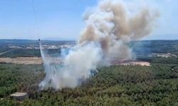 İzmir Buca'da orman yangını çıktı