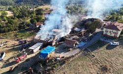Kastamonu'da 14 büyükbaş hayvanın telef olduğu yangın söndürüldü