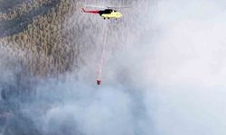 Kastamonu'da çıkan orman yangını kontrol altına alındı