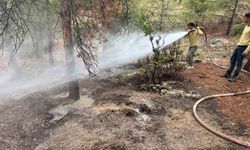 Kilis'te yıldırımın düşmesiyle ormanlık alanda yangın çıktı