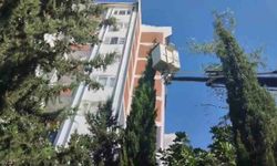 Mahsur kalan kediyi itfaiye kurtardı