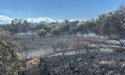 Manavgat'ta boğaz mendirek yolunda korkutan yangın