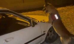 Otomobil kaputunda uyuşturucu sevkiyatına jandarma engeli