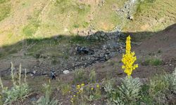 Palandöken Geçidi'nde feci kaza: 150 metrelik uçuruma yuvarlandı