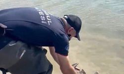Sazlıbosna Barajı'nda misina ve ağlara takılan karabatağı itfaiye kurtardı
