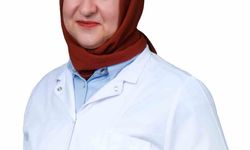 Seyahat sonrası ateşlenme sıtmanın habercisi olabilir