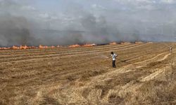 Silivri'de tarla yangınına havadan müdahale ediliyor