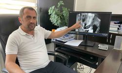 Sosyal medyada linç edilmişti, olay çok farklı çıktı
