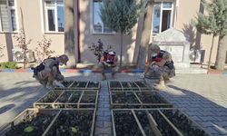 Suriye'ye geçirilmek istenen 2 bin 114 saka kuşuna 19 milyon 871 bin TL ceza