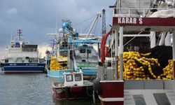 Trabzon'da balıkçıların deniz mesaisi başlıyor