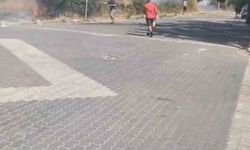 Trafonun patlaması sonucu çıkan yangın tatilcilere panik yaşattı