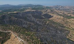Yangının bilançosu gün ağarınca ortaya çıktı
